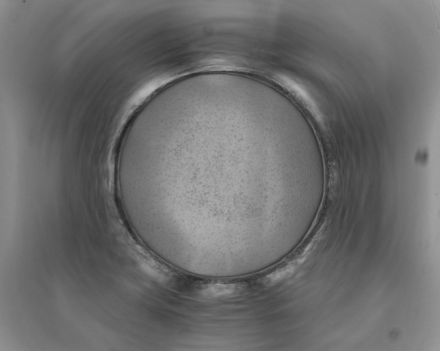 X0000094451419200711291649