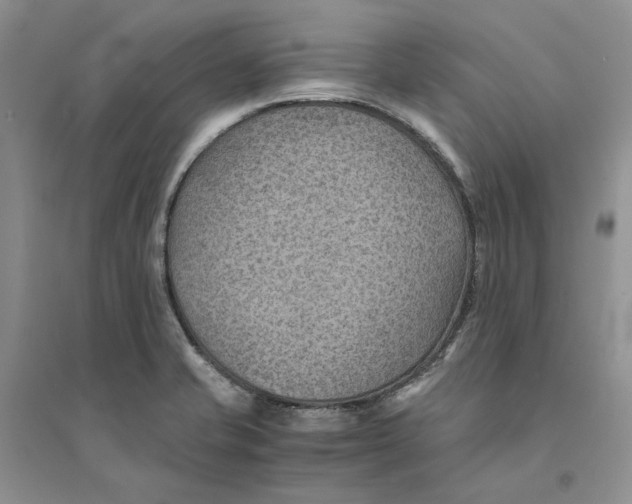 X0000094451421200711291649