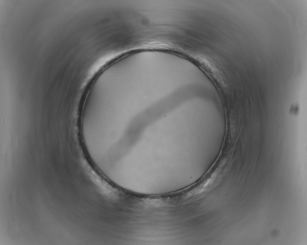 X0000094451422200711291649