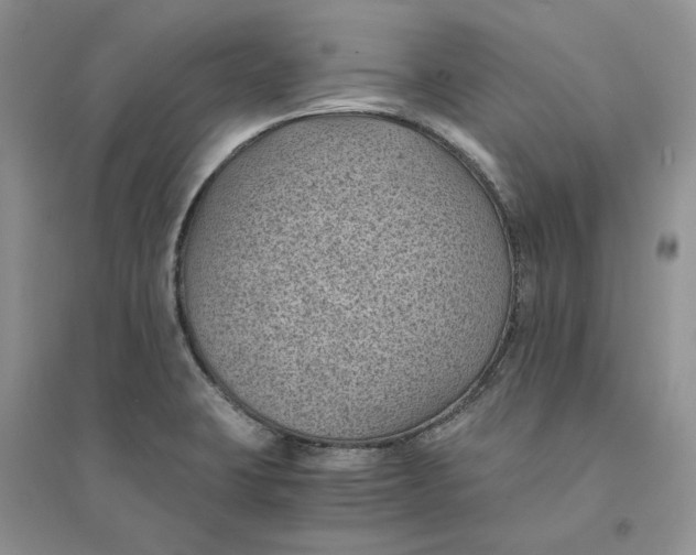 X0000094451423200711291649