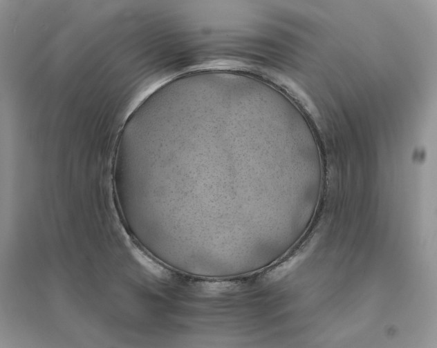 X0000094451425200711291649