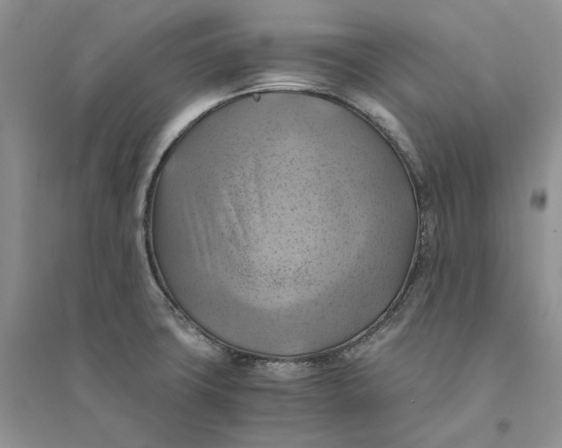 X0000094451427200711291649