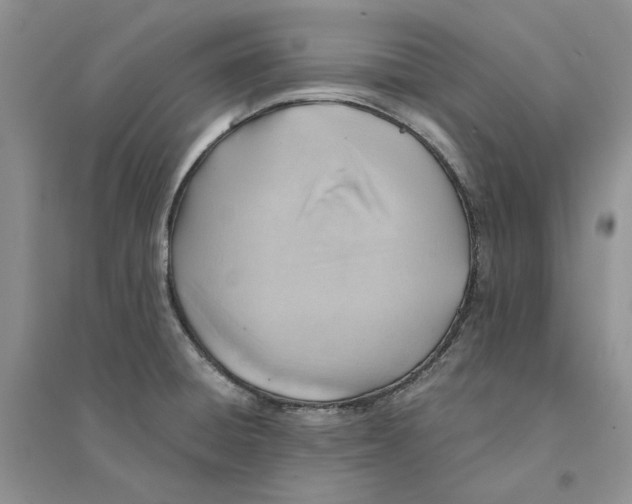 X0000094451428200711291649