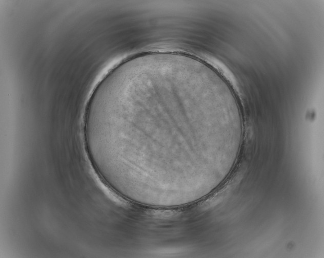 X0000094451429200711291649