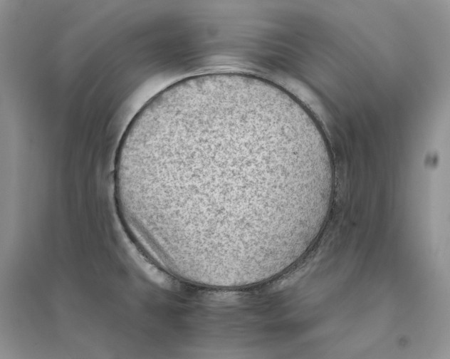 X0000094451431200711291649