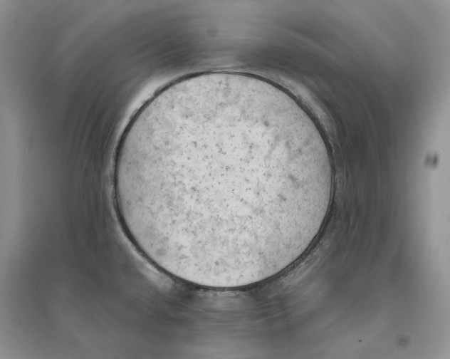 X0000094451432200711291649