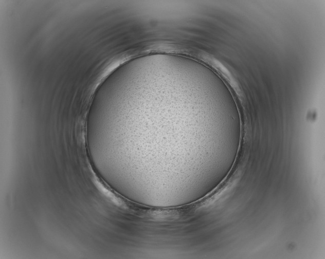 X0000094451433200711291649