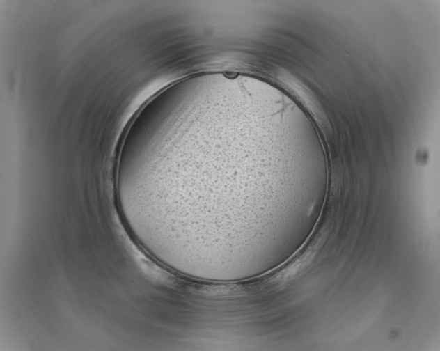 X0000094451434200711291649