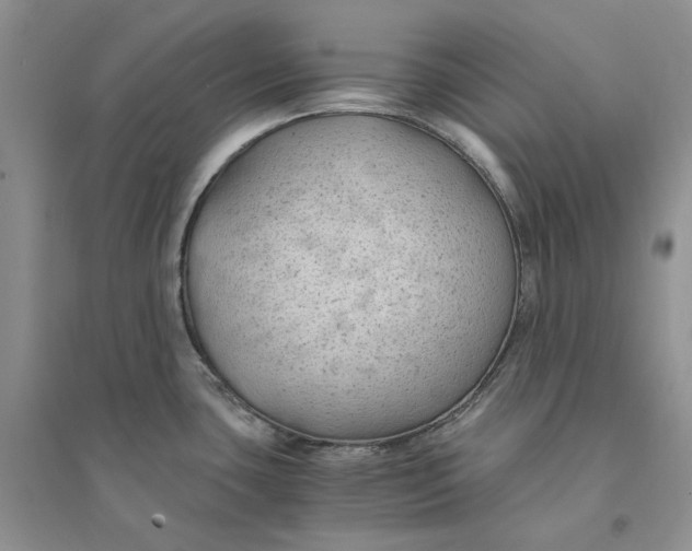 X0000094451435200711291649