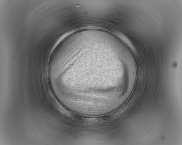 X0000094451436200711291649