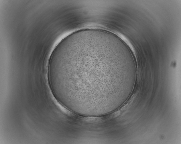 X0000094451437200711291649