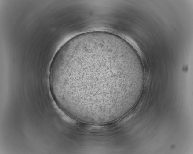 X0000094451439200711291649