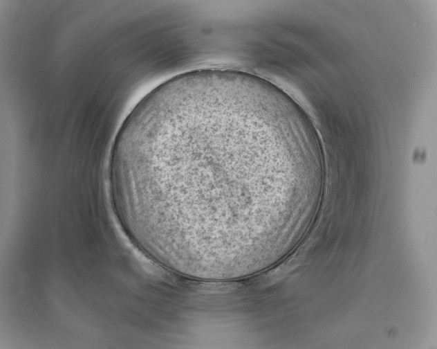 X0000094451440200711291649