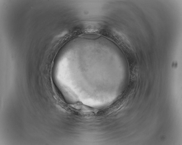 X0000094451441200711291648