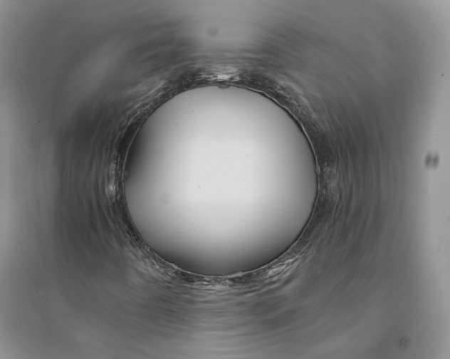 X0000094451442200711291648