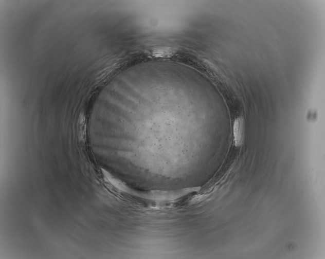 X0000094451443200711291648