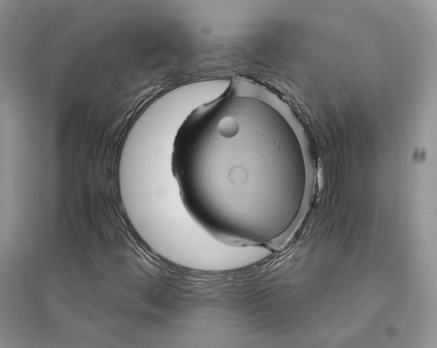 X0000094451444200711291648