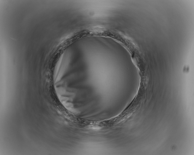 X0000094451445200711291648