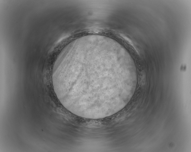 X0000094451446200711291648