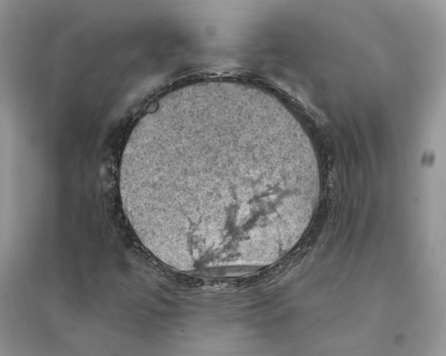 X0000094451447200711291648