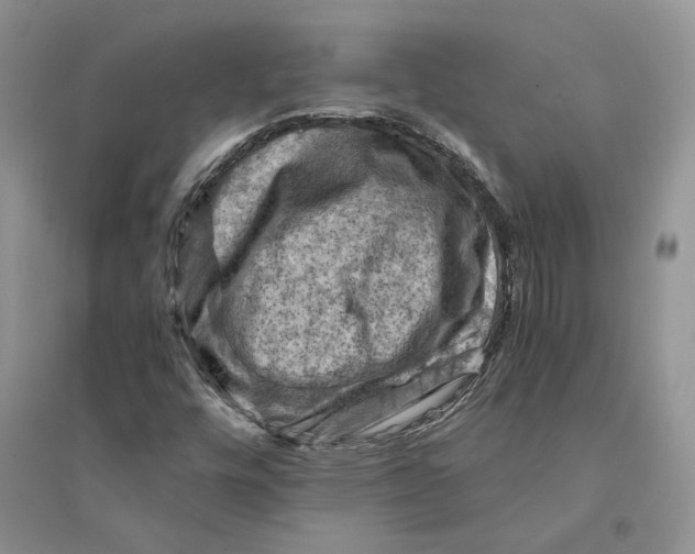 X0000094451448200711291648