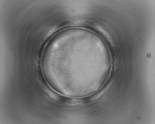 X0000094451449200711291648