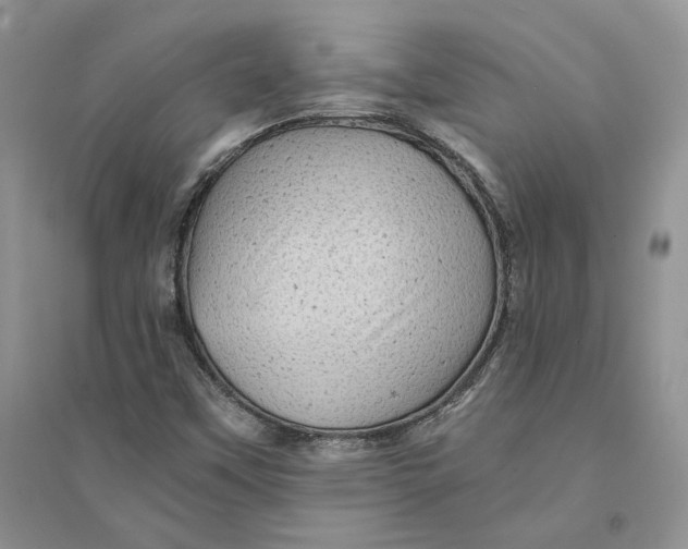 X0000094451451200711291648