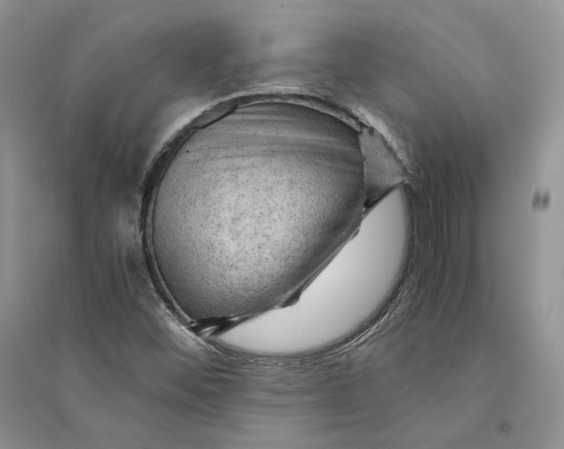 X0000094451452200711291648