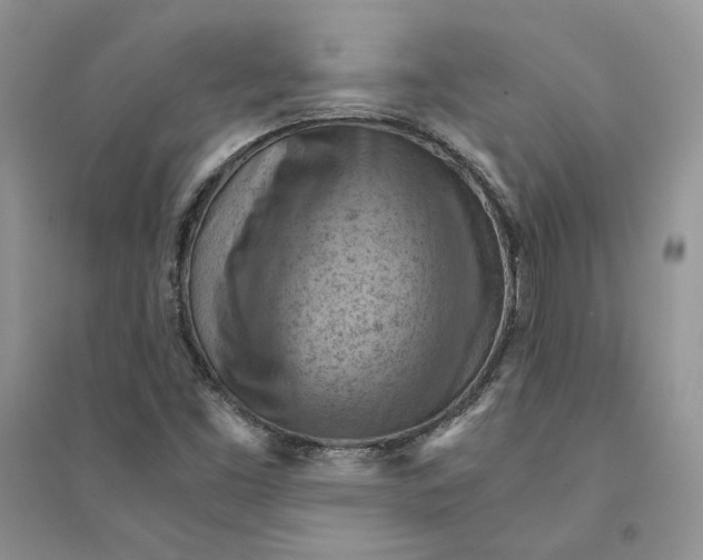 X0000094451453200711291648