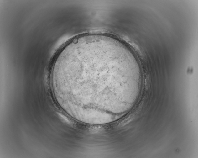 X0000094451454200711291648