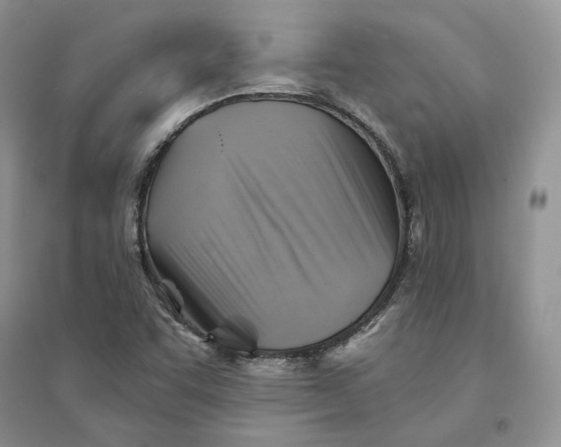 X0000094451455200711291648