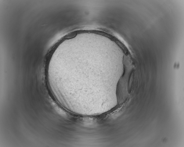 X0000094451456200711291648