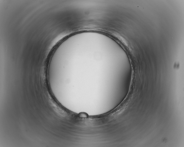 X0000094451458200711291648