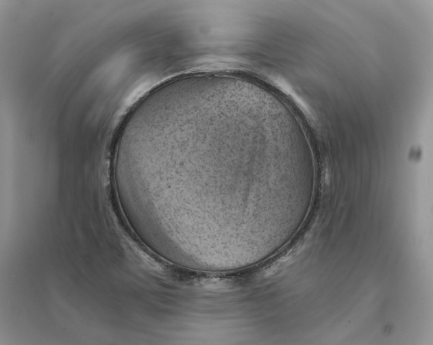 X0000094451459200711291648