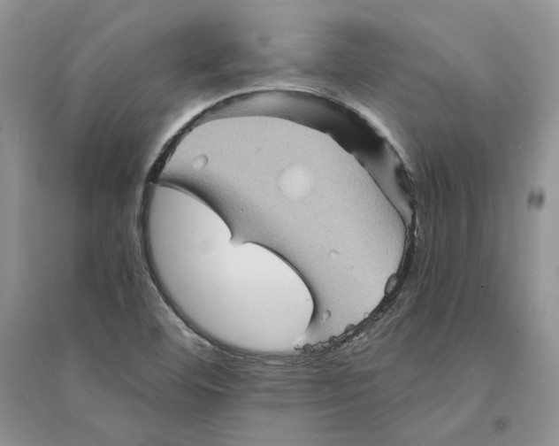 X0000094451460200711291648