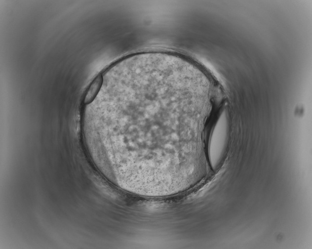 X0000094451461200711291648