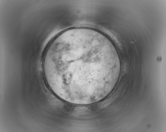 X0000094451462200711291648