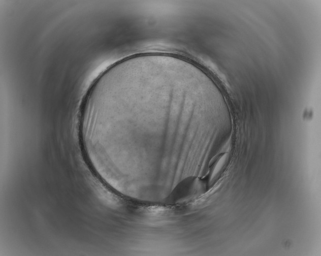 X0000094451463200711291648