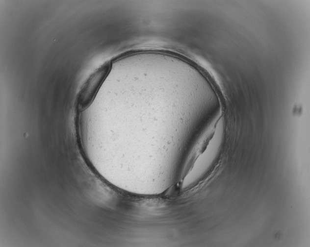 X0000094451464200711291648