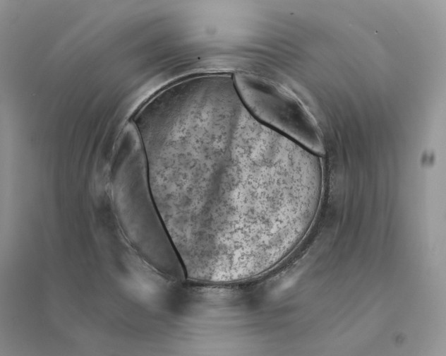 X0000094451465200711291648