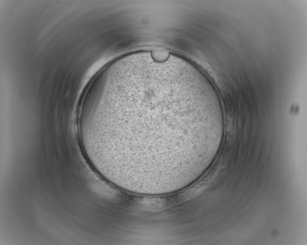 X0000094451466200711291648