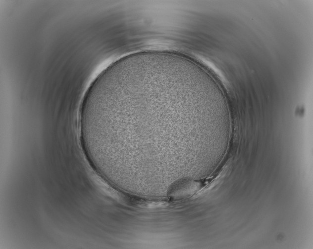 X0000094451467200711291648