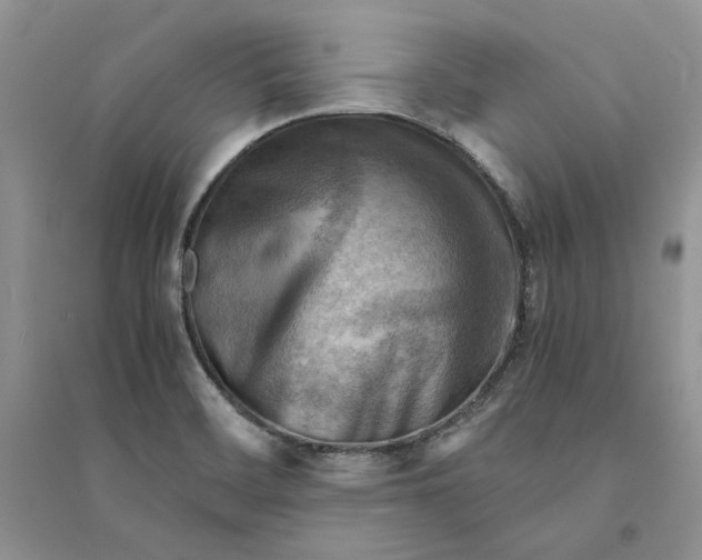 X0000094451468200711291648