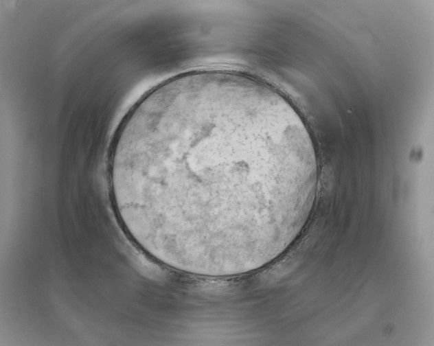 X0000094451470200711291648