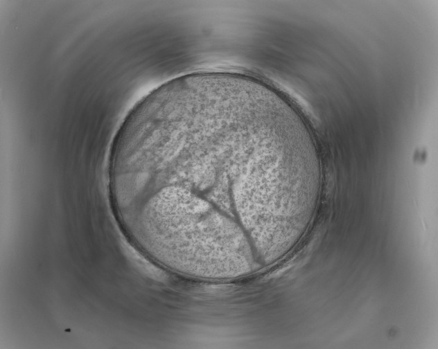 X0000094451471200711291648