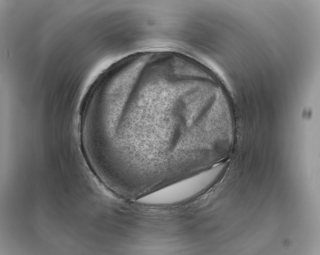 X0000094451472200711291648