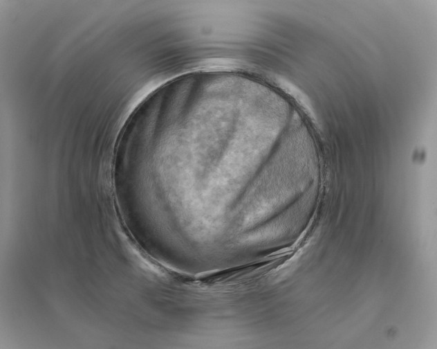 X0000094451473200711291648