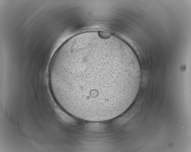 X0000094451474200711291648