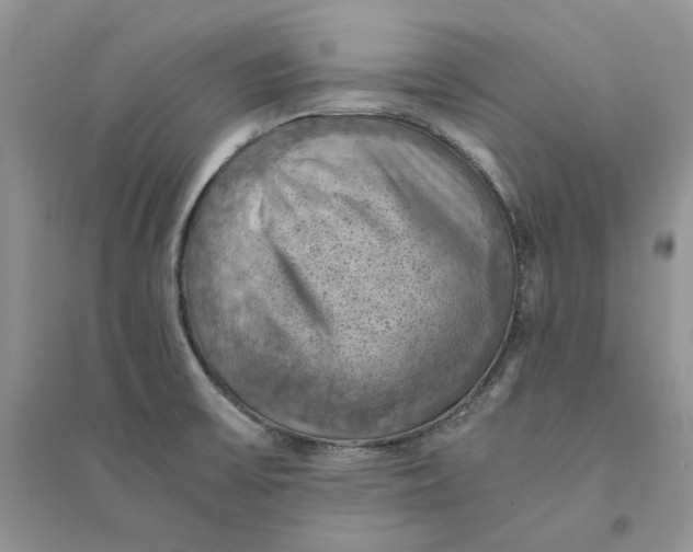 X0000094451475200711291648