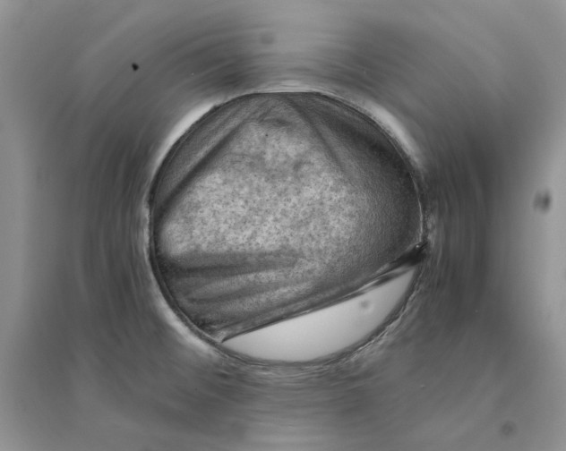 X0000094451476200711291648